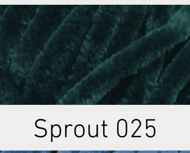 Jellybaby Sprout