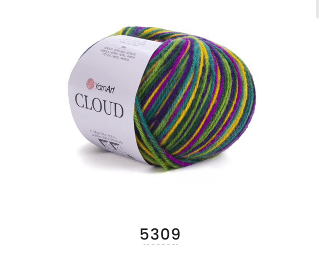 Cloud 5309