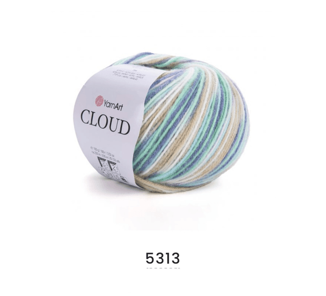 Cloud 5313